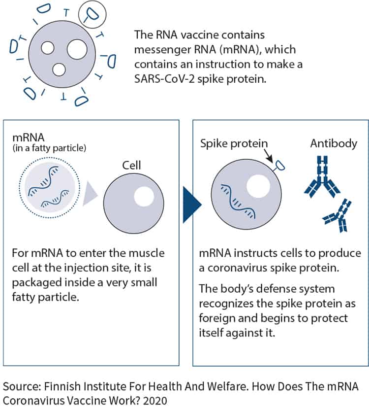 How The mRNA COVID-19 Vaccine Works